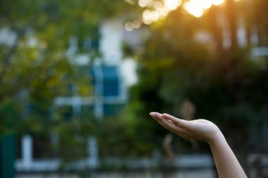 Çevre simgeleriyle el ele tutuşan teknoloji, yeşil arkaplanda Ağ bağlantısı üzerinden.