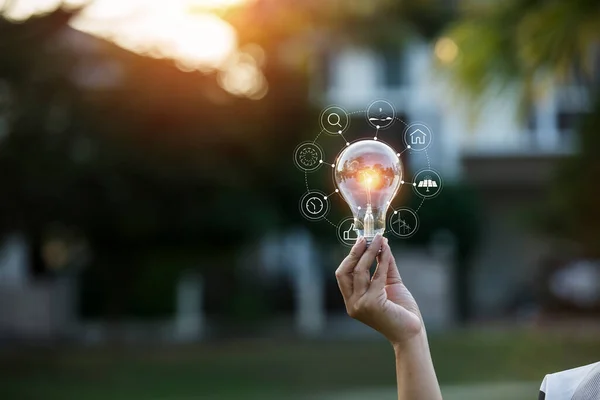 Bombillas Que Crecen Concepto Energía Naturaleza — Foto de Stock