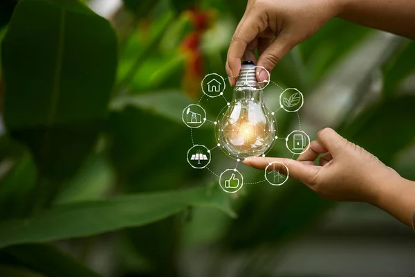 hand holding light bulb against nature, icons energy sources for renewable,