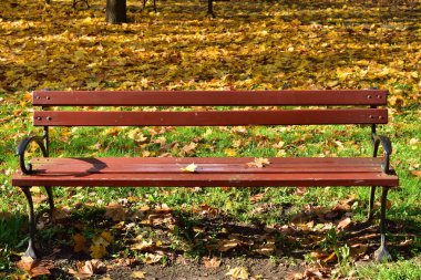 Bir sonbahar parkında bir bank Düşmüş sarı, kırmızı ve kahverengi lea arasında