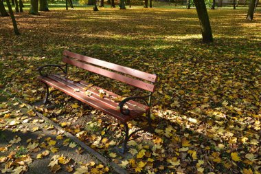Bir sonbahar parkında bir bank Düşmüş sarı, kırmızı ve kahverengi lea arasında