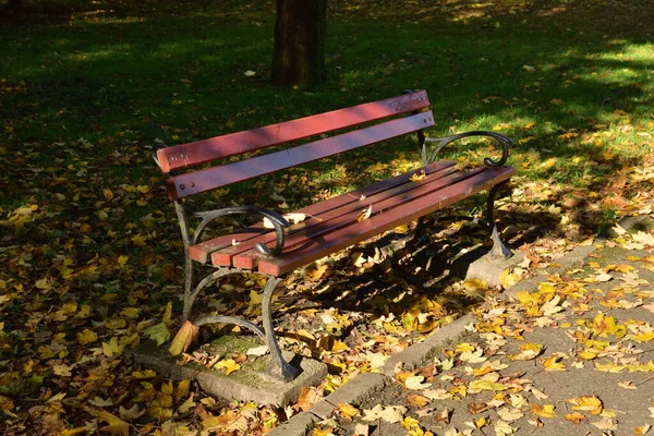 Ławka Jesiennym Parku Wśród Upadłych Żółtych Czerwonych Brązowych Lei — Zdjęcie stockowe