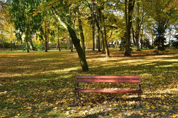 Een Bankje Een Herfstpark Tussen Gevallen Gele Rode Bruine Lea — Stockfoto