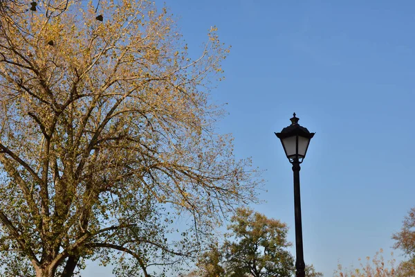 天空背景上的老式路灯 — 图库照片