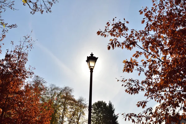Gökyüzü Arka Planında Eski Tarz Sokak Lambası Sonbahar — Stok fotoğraf