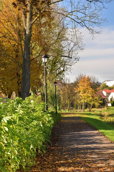 Alleys Lamps Autumn Carpets Yellow Brown Red Leaves Autumn — Stock Photo, Image