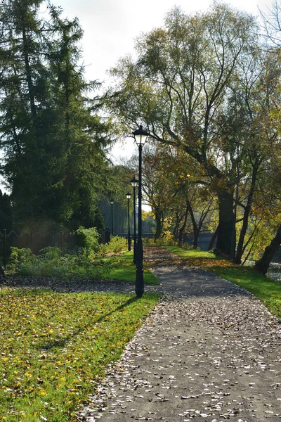 Allées Lampes Automne Tapis Feuilles Jaunes Brunes Rouges Automne — Photo