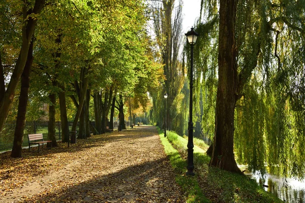 Alleys Lamps Autumn Carpets Yellow Brown Red Leaves Autumn — Stock Photo, Image