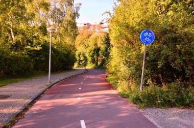 Bir yaz günü ağaçların arasında bisiklet yolu ve tabelalar. Orman. 