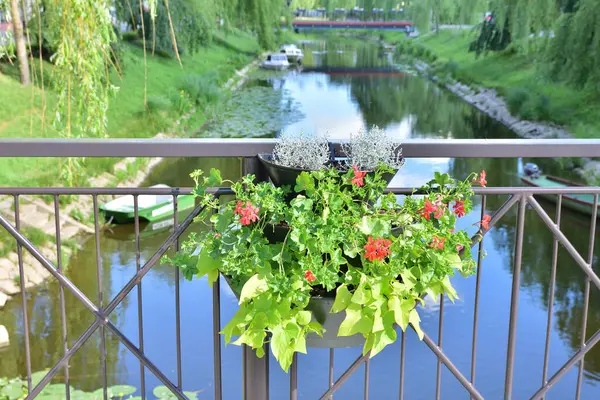 Flores Penduradas Corrimão Ponte Sobre Pequeno Rio Verão — Fotografia de Stock