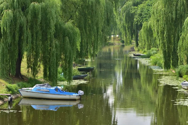 Söğütlerin gölgesinde kıyıya demirlemiş tekneler. Gün.