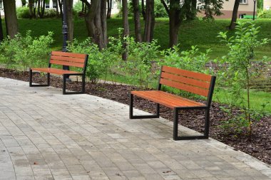 Ağaçların ve fenerlerin arasında park bankında. Yaz.