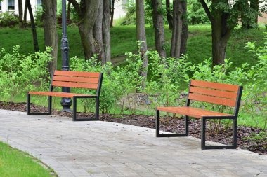 Ağaçların ve fenerlerin arasında park bankında. Yaz.