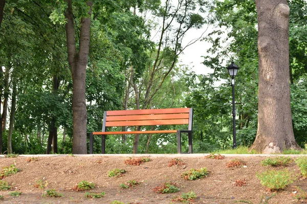 Park Bench Trees Lanterns Summer — Stock Photo, Image