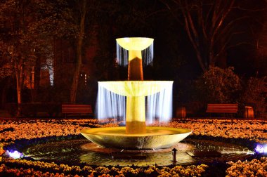 Fıskiyedeki su çizgileri gece ışıklarıyla aydınlatılıyordu. Gece.