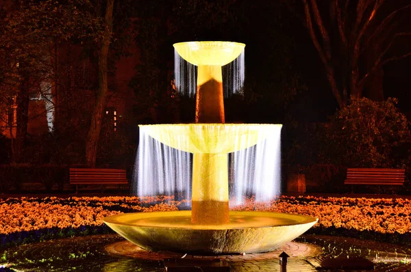 Rayas Agua Fuente Iluminadas Con Luz Por Noche Noche — Foto de Stock