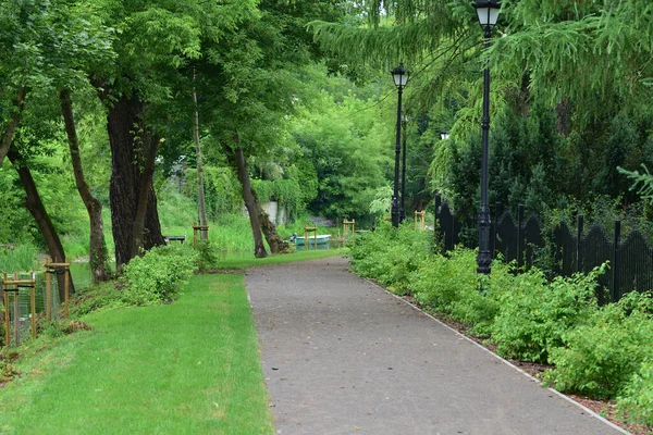 Coppia Innamorata Passeggia Nel Parco Una Giornata Estiva — Foto Stock