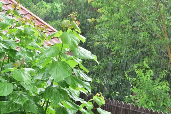 大雨倾盆时雨滴落在屋顶上 — 图库照片