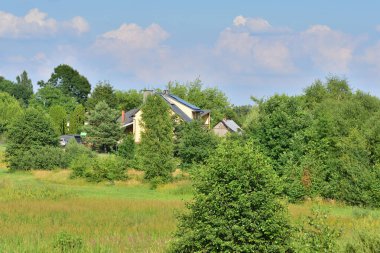 View of the estate of detached houses among trees and green meadows. Summer.