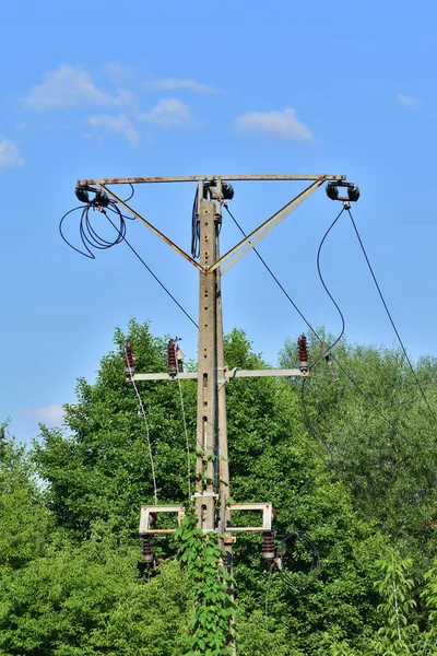 High Voltage Electric Wires Trees Danger — Foto de Stock