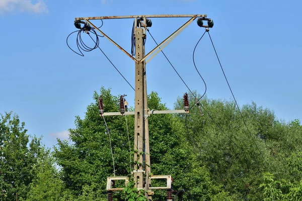 Ηλεκτρικά Καλώδια Υψηλής Τάσης Ανάμεσα Στα Δέντρα Κίνδυνος — Φωτογραφία Αρχείου