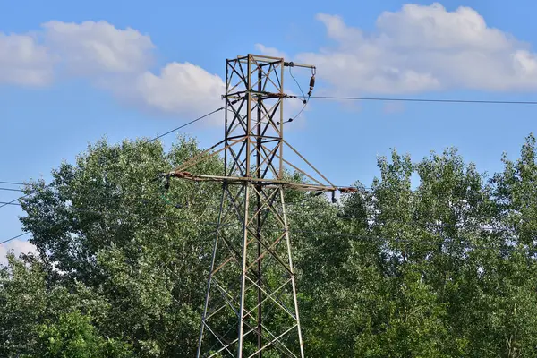 High Voltage Electric Wires Trees Danger — ストック写真