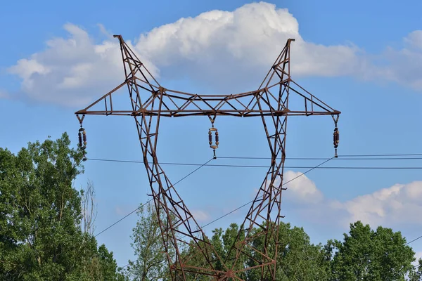 Електричні Дроти Високої Напруги Серед Дерев Небезпека — стокове фото