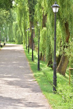 Güneşli bir günde park yeri ve ayakta duran fenerler. Yaz.