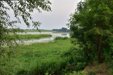 Oxbow Gölü ve nehir kıyısındaki sel ovası kasvetli, bulutlu bir akşamda. Nehir,