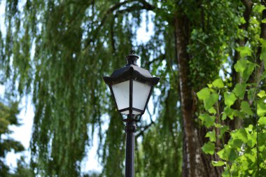 Güneşli bir günde, ağaçların gölgesinde bir sokak. Sakin.