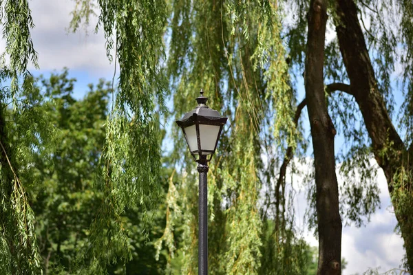 Steeg Een Zonnige Dag Schaduw Van Bomen Kalm Aan — Stockfoto