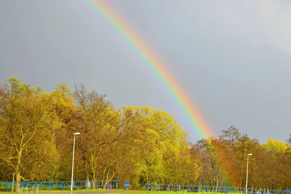 Tęcza Nad Lasem Zachmurzone Niebo Zachód Słońca Lato — Zdjęcie stockowe