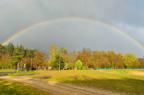 Rainbow Forest Cloudy Sky Sunset Summer — Fotografia de Stock