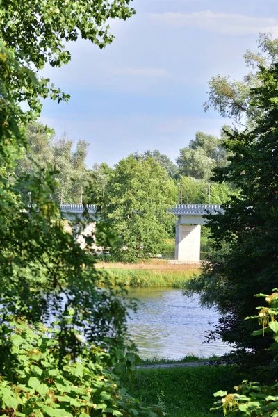 Most Přes Řeku Mezi Stromy Slunečného Dne Léto — Stock fotografie