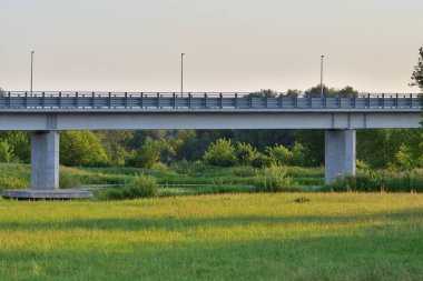 Kasvetli bir öğleden sonra, ağaçların arasında nehrin üzerindeki köprü..