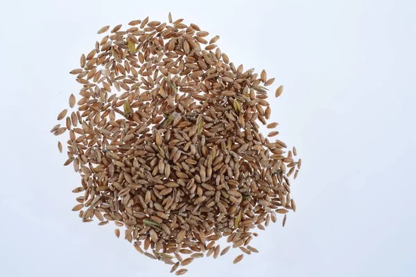 クローズアップと倍率での各種穀物の穀物 — ストック写真