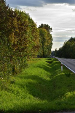 Güneşli bir sonbahar gününde çayırların ve ağaçların arasında asfalt yol. Sonbahar. Güneş.
