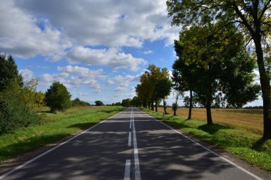Güneşli bir sonbahar gününde çayırların ve ağaçların arasında asfalt yol. Sonbahar.