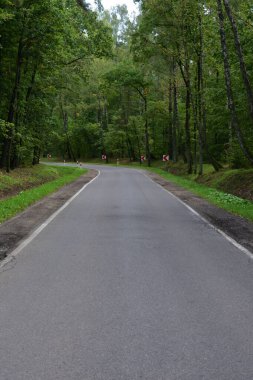 Güneşli bir sonbahar gününde çayırların ve ağaçların arasında asfalt yol. Sonbahar.
