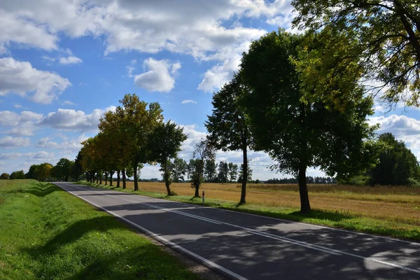 Camino Asfalto Entre Prados Árboles Día Soleado Otoño Otoño — Foto de Stock