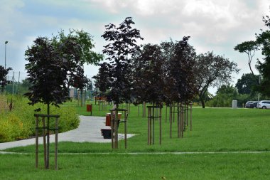 Bulutlu bir günde yaya yolu kenarında park bankında. Dinlen..