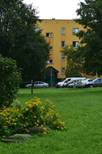 Bloki Mieszkalne Samochody Parkingu Drzewa Pochmurny Dzień Żyć — Zdjęcie stockowe