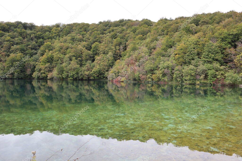Mirror Image of Forested Mountains and Autumn Sky in Calm Lake Water, Plitvice Lakes National Park. Scenic view of the mirrored surface of the lake, reflecting the gray sky, mountains and yellow-green trees on a quiet autumn day