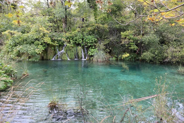 滝や湖 底が見える透明度の高いターコイズブルーの水 静かな秋の日に黄緑の葉を持つ木々 プリトヴィツェ湖国立公園 — ストック写真