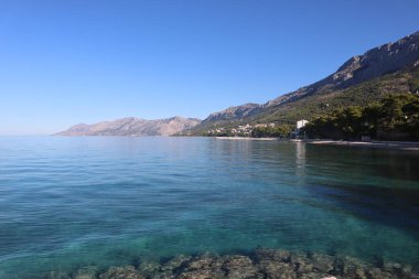 Açık güneşli bir sabahta Hırvatistan kıyılarında zümrüt suyla deniz manzarası. Açık mavi denizin panorama 'sı, temiz suların altında kayalar, kıyılarda büyüyen çam ağaçları, yüksek dağlar ve mavi gökyüzü, Baska Voda, Hırvatistan