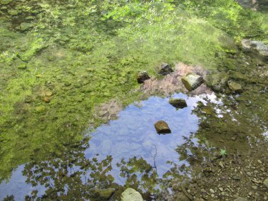 Kırım 'daki bir dağ nehrinin berrak sularında kayaların, ağaçların ve gökyüzünün yansıması. Güneşli bir günde yüksek kayaların yansıdığı aynanın yüzeyinde, sakin bir suyla kanyonun dibinde akan bir dağ nehrinin resimsel bir görüntüsü.