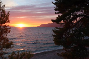 Deniz manzarası parlak gökyüzü ve ufukta güneş, deniz kıyısında çam ağaçları, sonbahar akşamında Hırvatistan kıyılarında plaj