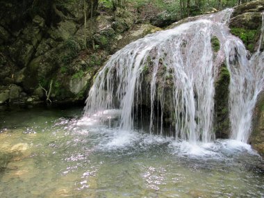 Dağ geçidinde güzel bir şelale, Kırım 'daki bir dağ nehrinin yatağındaki büyük bir taşın üzerinden akar. Bir yaz gününde taşların, kayaların, yosunların ve ormanın arka planında şelalesi olan bir dağ nehrinin manzarası.