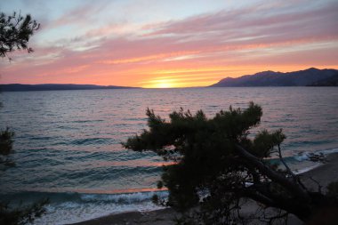 Hırvatistan 'ın Adriyatik kıyısındaki plajda gün batımında, kırmızı-turuncu bir gökyüzünün arka planında bir çam ağacı silueti, dağlar görülüyor.