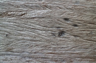 Kara Orman Arkaplanı